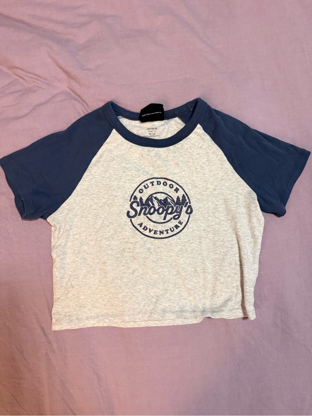 Outdoor Adventure Raglan Tee - Blue & Heather Gray